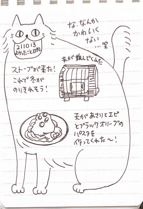 211013 よかったこと日記
かわいくない🐱 