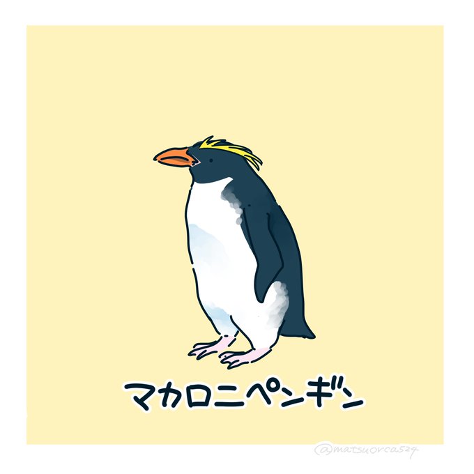 マカロニペンギンのtwitterイラスト検索結果
