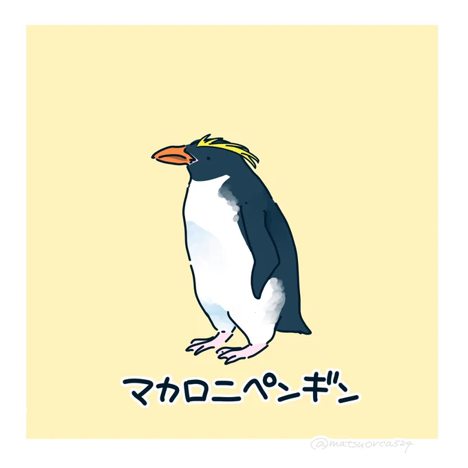 マカロニペンギンとグラタン 