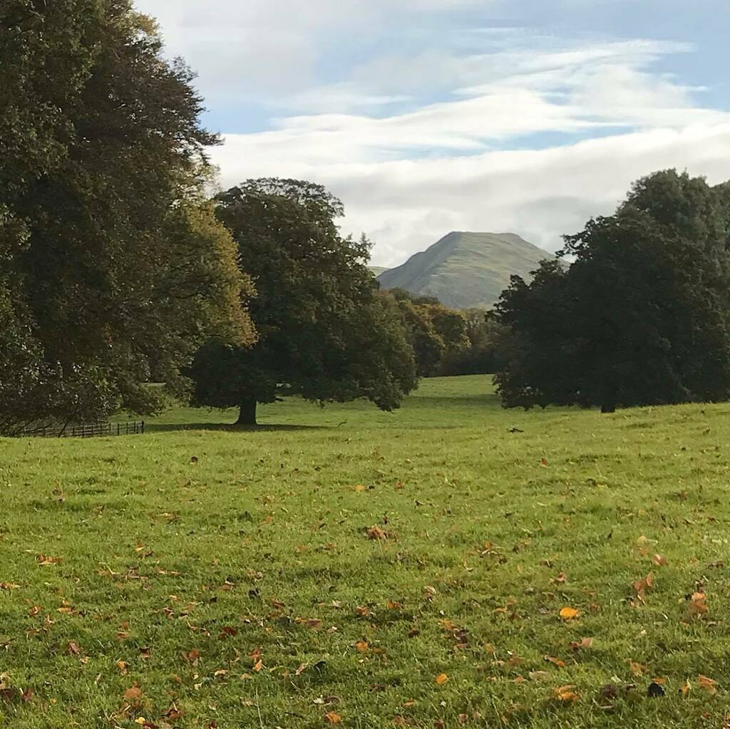 BeechenhillFarm's tweet photo. Thorpe Cloud spied through the trees at Ilam Park, and morning sunshine shadows. 

.
.
.
.
#thorpecloud #ilampark #nationalttustilampark @peakdistrictnt  #reasonstostayatbeechenhillfarm #peakdistrictnationalpark #enjoystaffs #livesimple #liveauthentic #o… https://t.co/VkABZ6hMSl https://t.co/gDYTHTNOOU