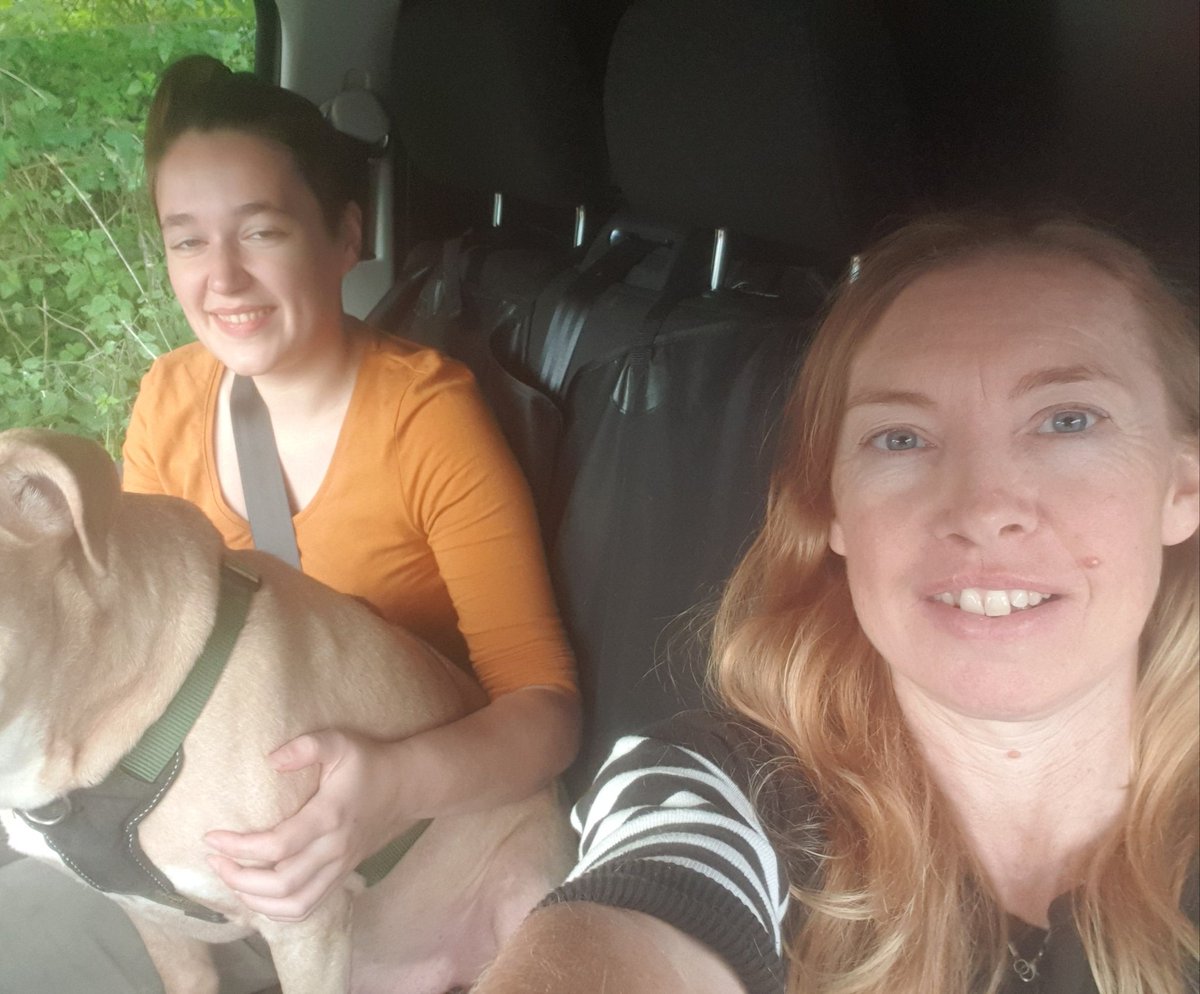 BTWsanctuary's tweet photo. Road trip! 🚐

Yesterday myself and @abi18467609 made the epic journey from West Wales to Devon to collect this beautiful girl.

She's called Annie, she is a survivor, now she has a home for life.

Become a #pigoneer to help support the lives of #survivors
https://t.co/Ek2fRYI1eT https://t.co/YoclyBUQqk