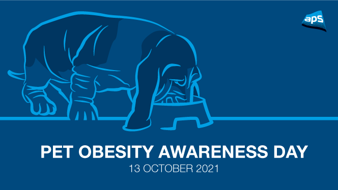 AvonPrinting's tweet photo. We produce brochures, pamphlets and forms for several animal shelters and animal daycare centres in the local area and we all know the importance of keeping our own pets safe and healthy

#pets #petobesityawarenessday #wiltshire #printing https://t.co/jjjm3rlSvB