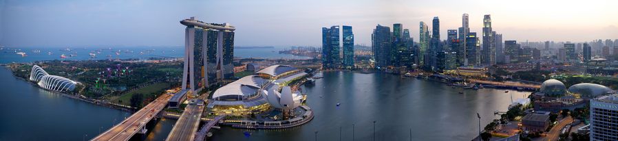 Trevor Williamson tweet media