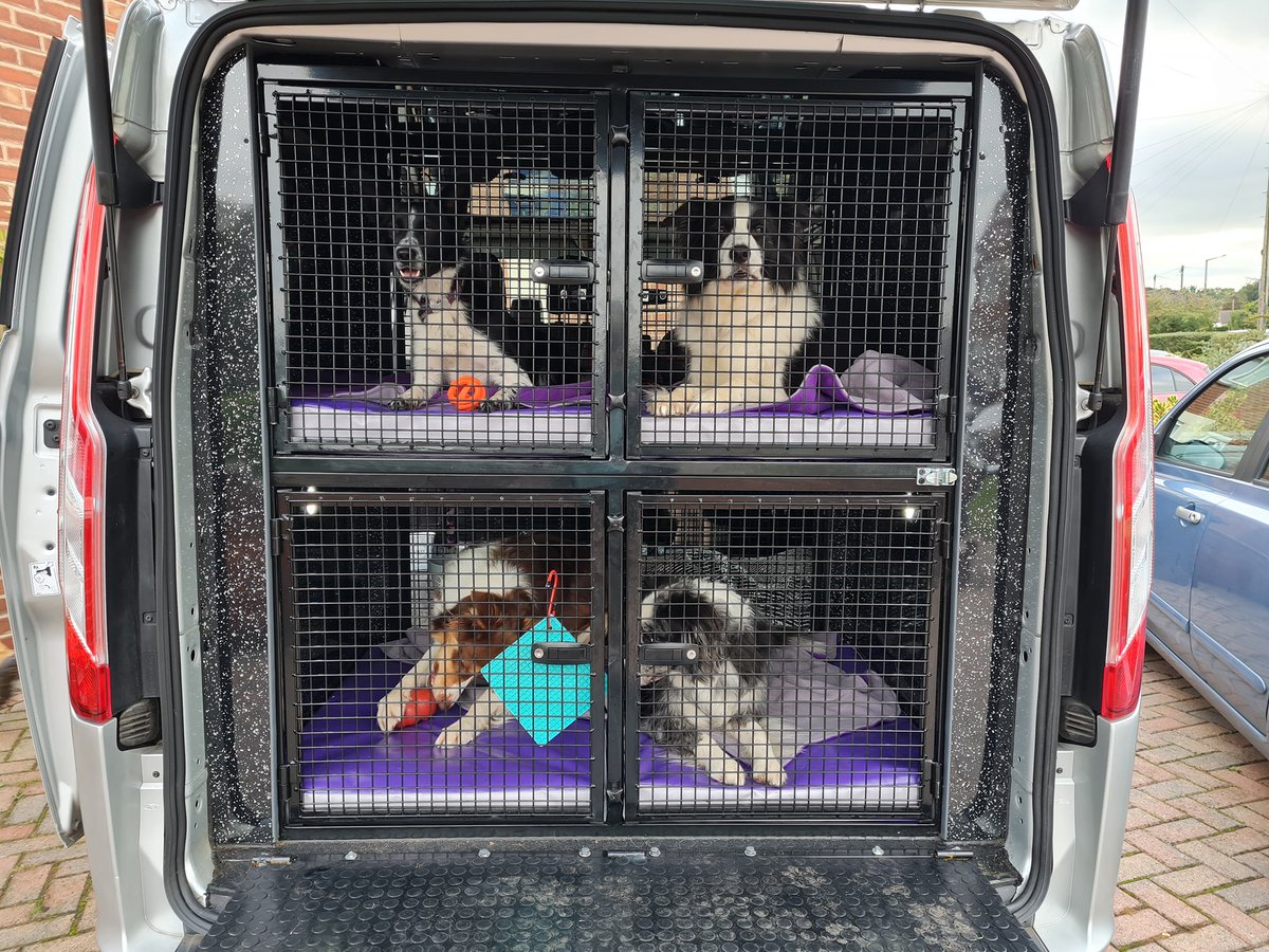 AndrewRWhite's tweet photo. We've finally took delivery of our new dog van, which is needed now our youngest daughter Liv is competing in more and more agility competitions.
It's a pre-owned @forduk Tourneo Custom with custom designed and made dog cages for our 5 dogs. https://t.co/0TbByyF51N