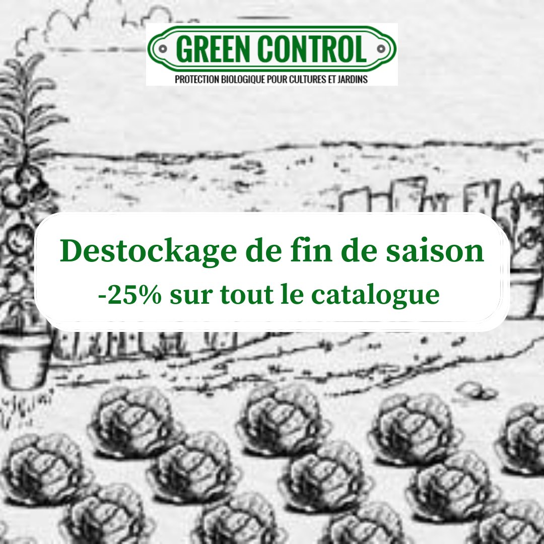 GreenControl_'s tweet image. Jusqu&apos;au 25 octobre, profitez de 25% de réduction sur l&apos;intégralité du catalogue Green Control.

Finissez bien la saison ou préparez la prochaine avec nos solutions phéromonales contre les ravageurs du jardin, conservables plus de deux ans à température ambiante.