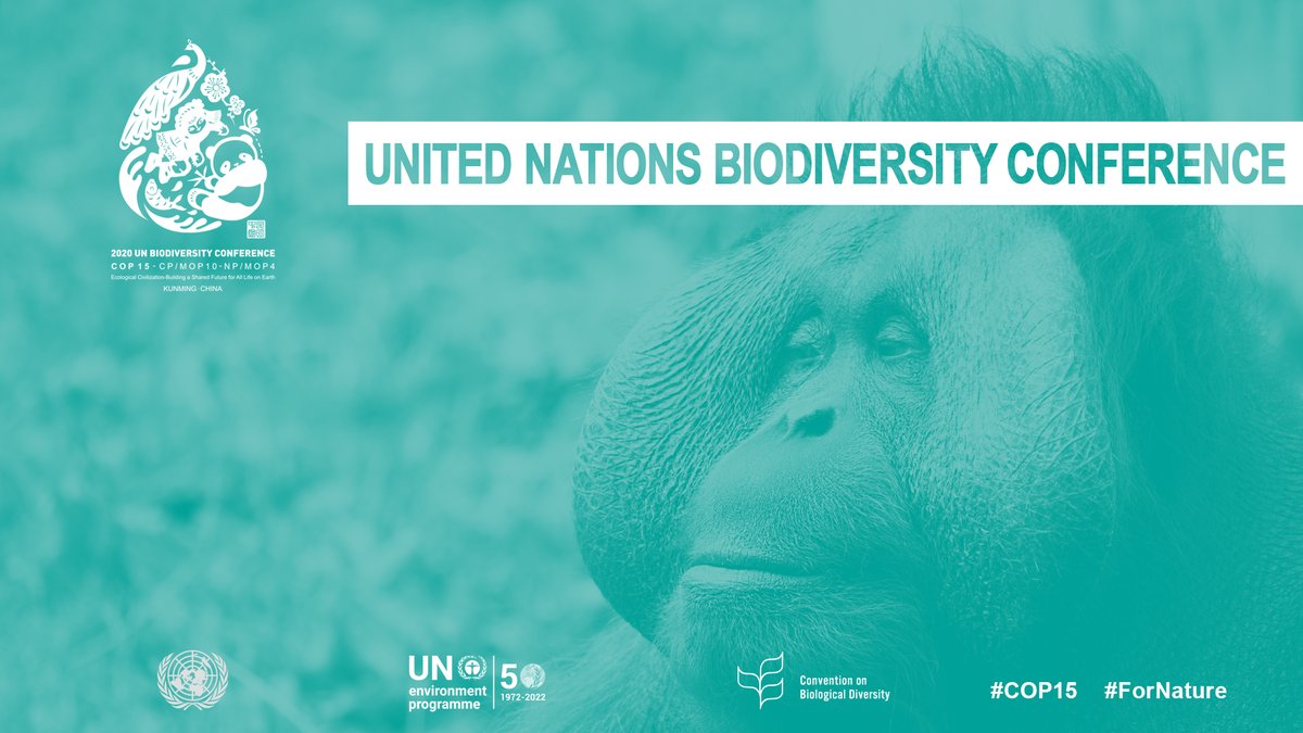 Today we concluded the High-Level Segment of the first part of #COP15.

My thanks to our hosts in China and all those who participated around the world. The past two days have seen a number of major commitments, the adoption of the Kunming Declaration &amp; vital momentum #ForNature.