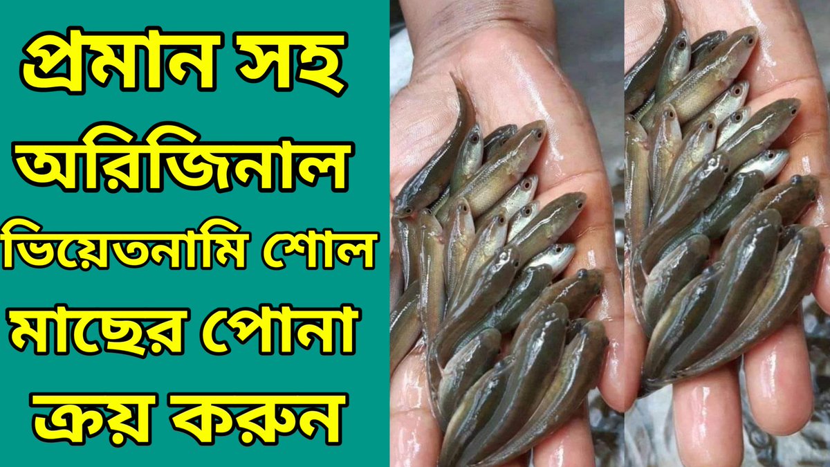 Nazmul00375412's tweet photo. https://t.co/nzSbldAG5t https://t.co/upXliC6Ip3