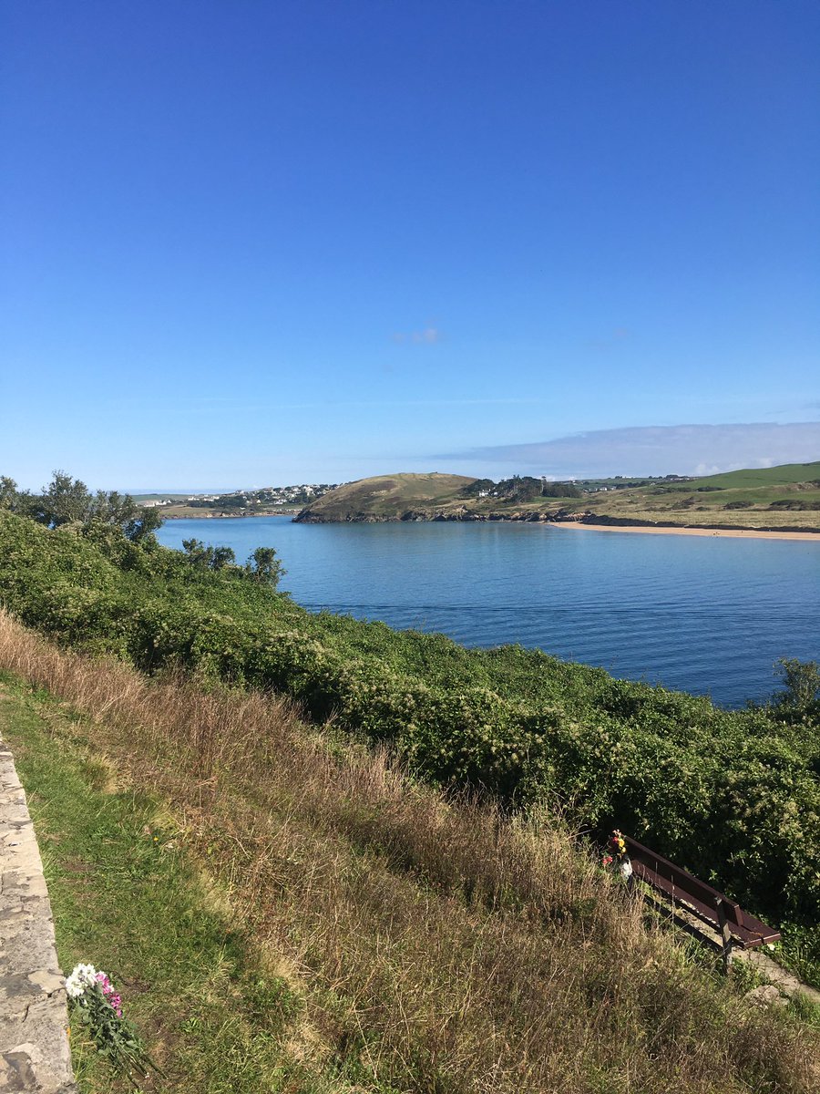 martin edwards tweet media