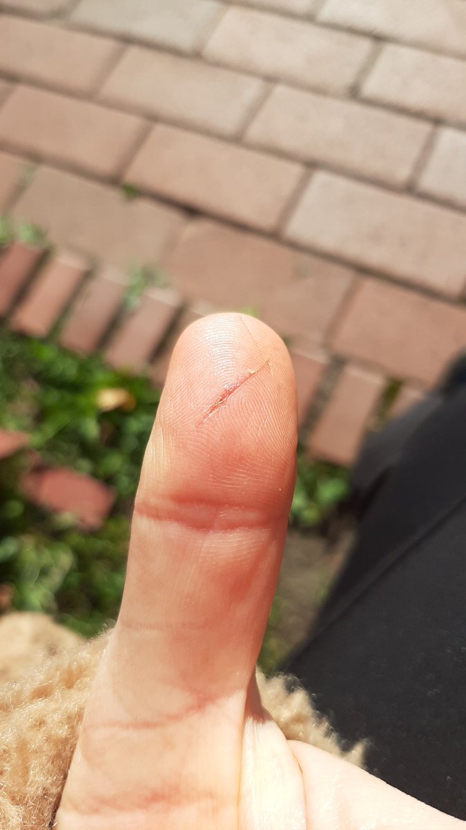 Sicher dein Online-Banking mit Fingerabdruck haben sie gesagt, das ist Narrensicher haben sie gesagt