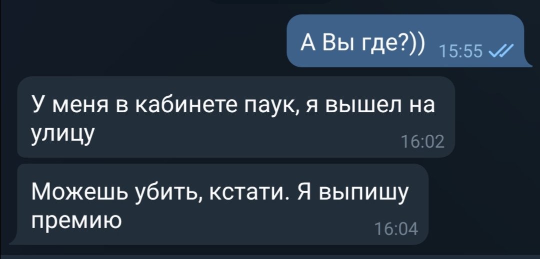 Мой начальник, дамы и господа