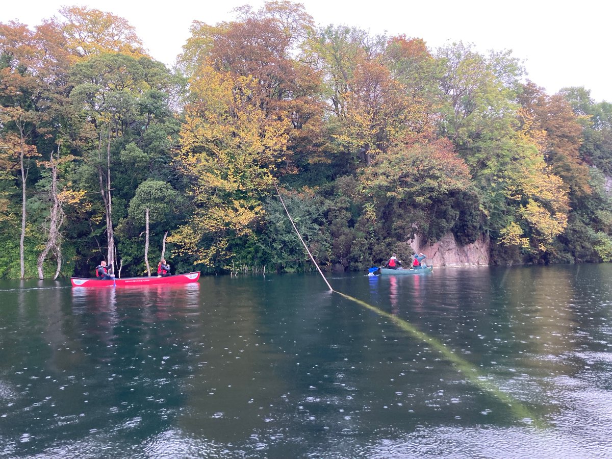 Sword Codify tweet media