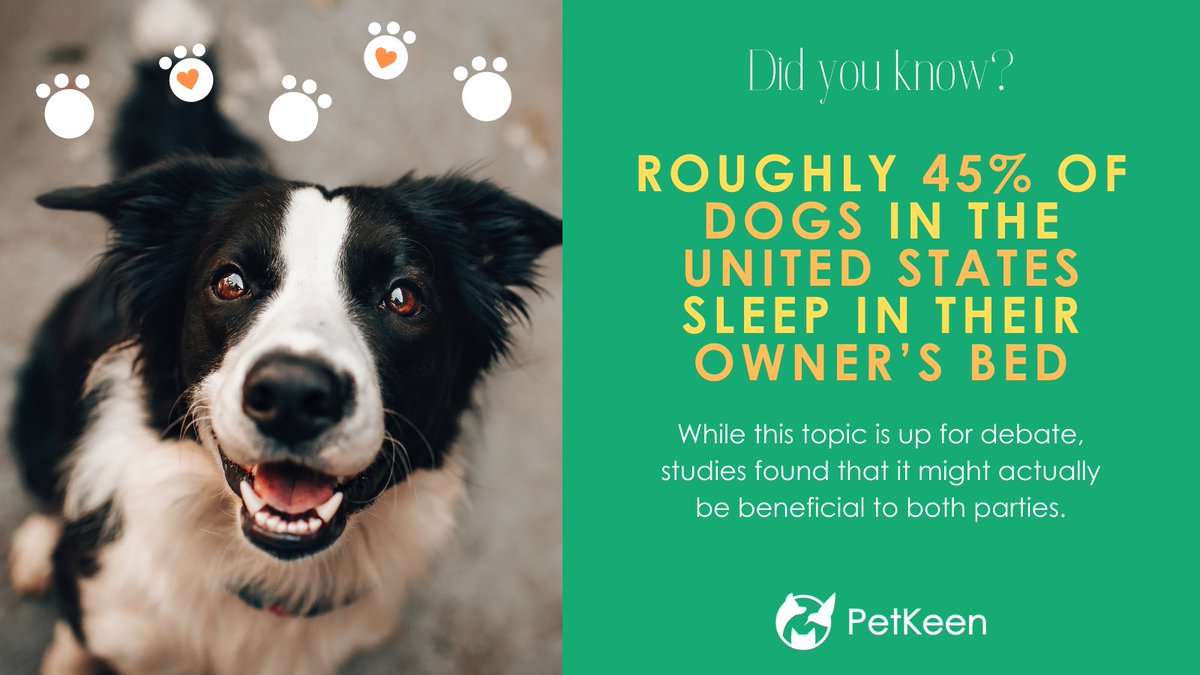 Read more interesting facts here: petkeen.com/fun-dog-facts/

#dogs #facts #dogsoftwitter #goodmorning