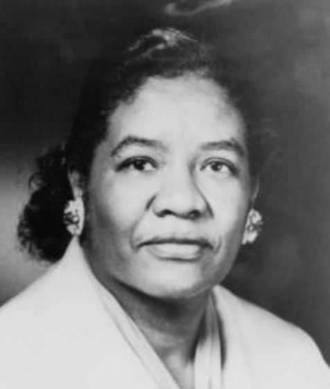 Today we're honoring the legacy of Dr. Dorothy Lavinia Brown, the first Black woman surgeon in the Southeast and the first Black woman elected to the Tennessee House of Representatives. 

#WCW #STEMHistory #BlackinMedicine