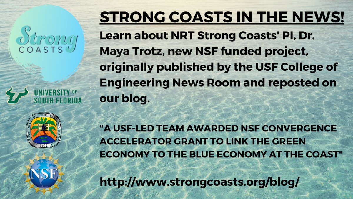Strong Coasts tweet media