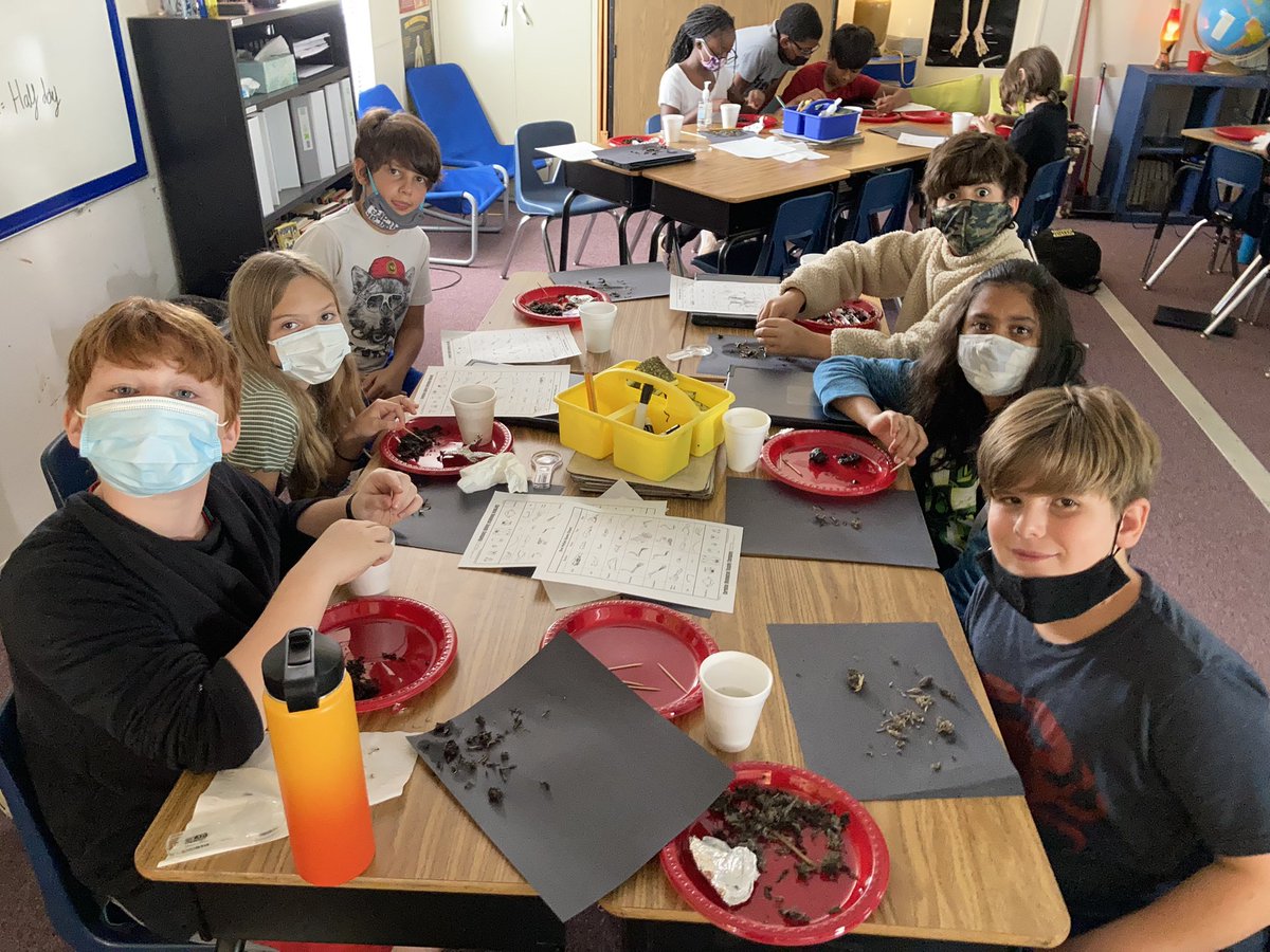 MrTrott4's tweet photo. Today in Science we dissected Owl Pellets! Are students were challenged to unearth the bones left behind and piece together the skeletons of our Owl’s prey! #detective #Science @KensingtonESNC @AGHoulihan @ParticipateLrng https://t.co/iN7FTI8u7E