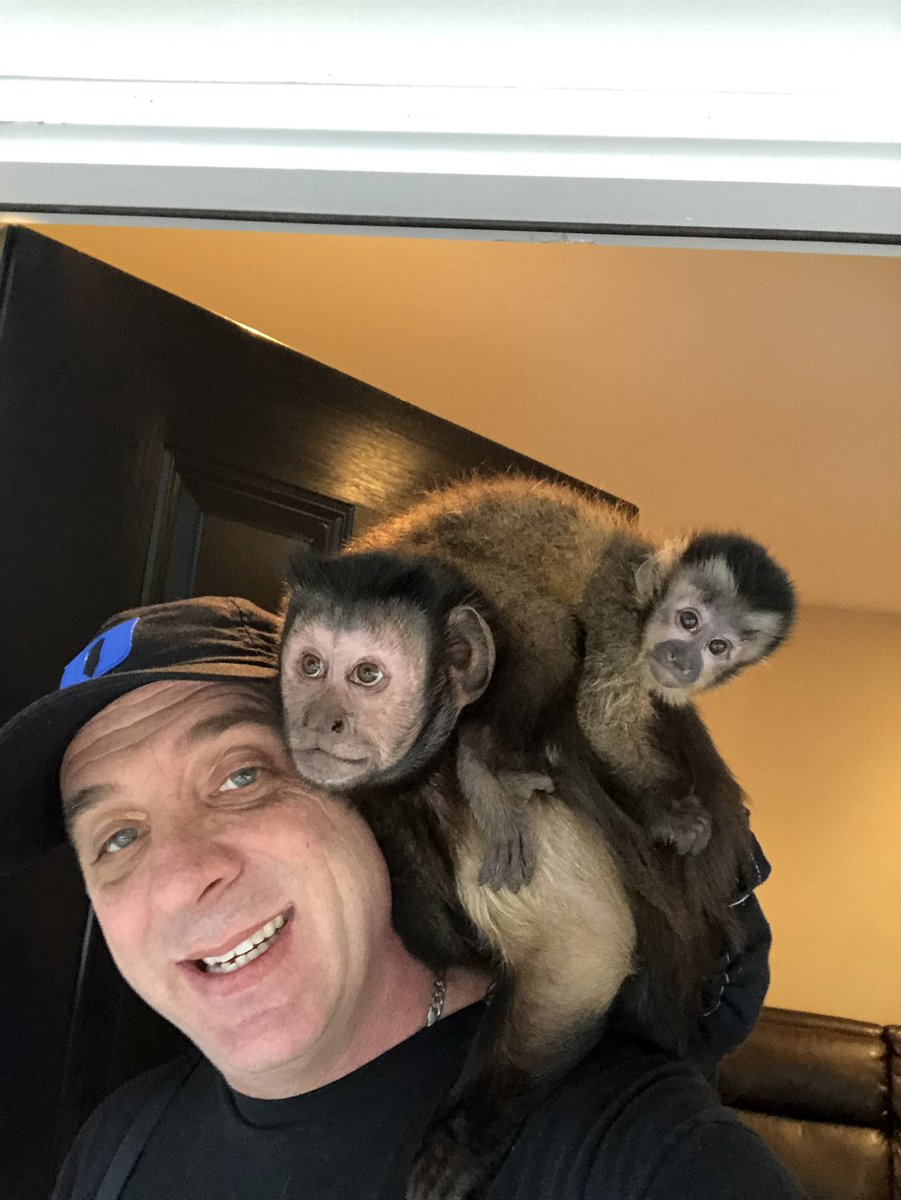 themonkeyhappy's tweet image. Happy Birthday @TheMonkeyBoo 
Best Big Brother ever!
MonkeyHappy loves you!