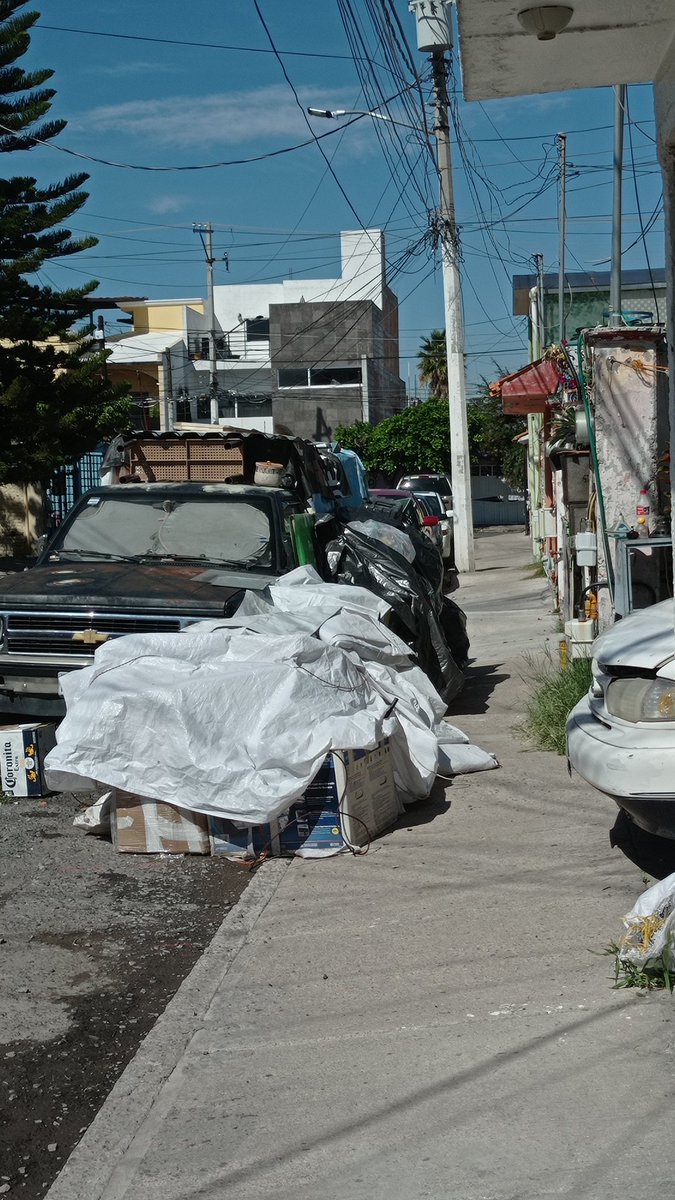 oscar_67's tweet photo. @spublicosqro nuevamente solicitando el apoyo, ya hay fauna nociva,aparte del bloqueo de banquetas, calle cangrejo 104 Col. Rinconada del sol.@LuisBNava @makugo @qromunicipio https://t.co/mxMd6E0oOz