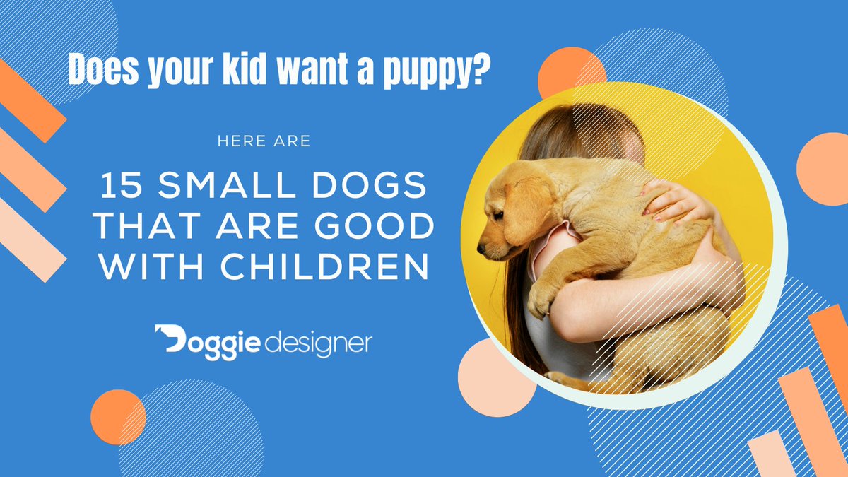 Every child deserves the love of a furry best friend.🧡

Full article: doggiedesigner.com/small-dogs-tha…

#dogs #dogsoftwitter #AdoptDontShop #puppylove