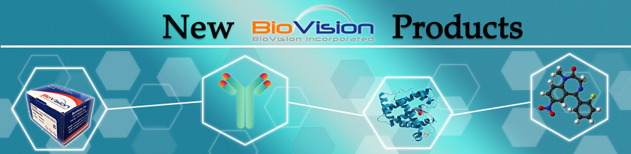 BioVision_Inc's tweet image. BioVision launched more than 55 NEW Products in September 2021. Our innovations are helping the life science research community forward. Be a part of breakthrough research and learn more at: hubs.ly/H0Zd93C0  #biotech #biotechnology #science #biology #research #dna