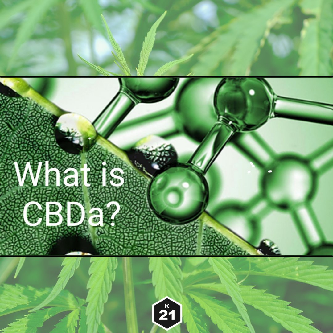 Kanna2120's tweet photo. Good Morning Everyone! 😍 CBDa is said to be more potent than CBD. Want to know more? Reach out today! 

#kanna21 #k21 #cbd #cannabinoids #cbdforpain #cbdmedicine #cbdcures #cbdfordepression #cbdforanxiety #cbdsaves #cbdforathletes #cbdmoms #cbdisolate #cbdhelps #cbda https://t.co/gWtGt7O2gD