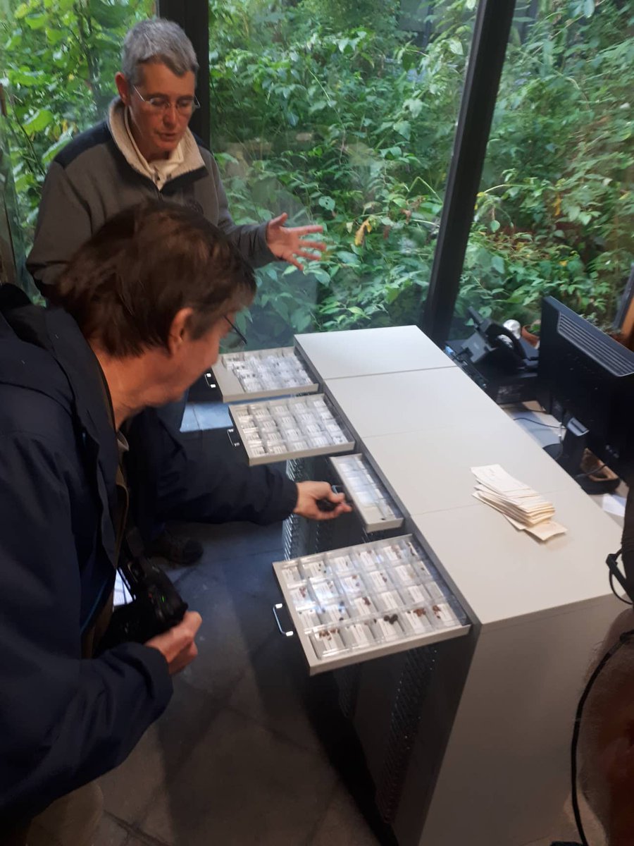 Bezoek van een delegatie van <a href="/levendarchief/">@LevendArchief</a> aan @botanicgarden01! Met discussie rond de bescherming van wilde flora en rondleiding in de nationale zadenbank, seminotheek, Belgisch herbarium en kweekserres 💪🌱 @NilsvanRooijen @annvandevyver  <a href="/AnnBogaerts2/">Ann Bogaerts</a> <a href="/natuurstudie/">Natuurpunt Studie</a> #IZABEL