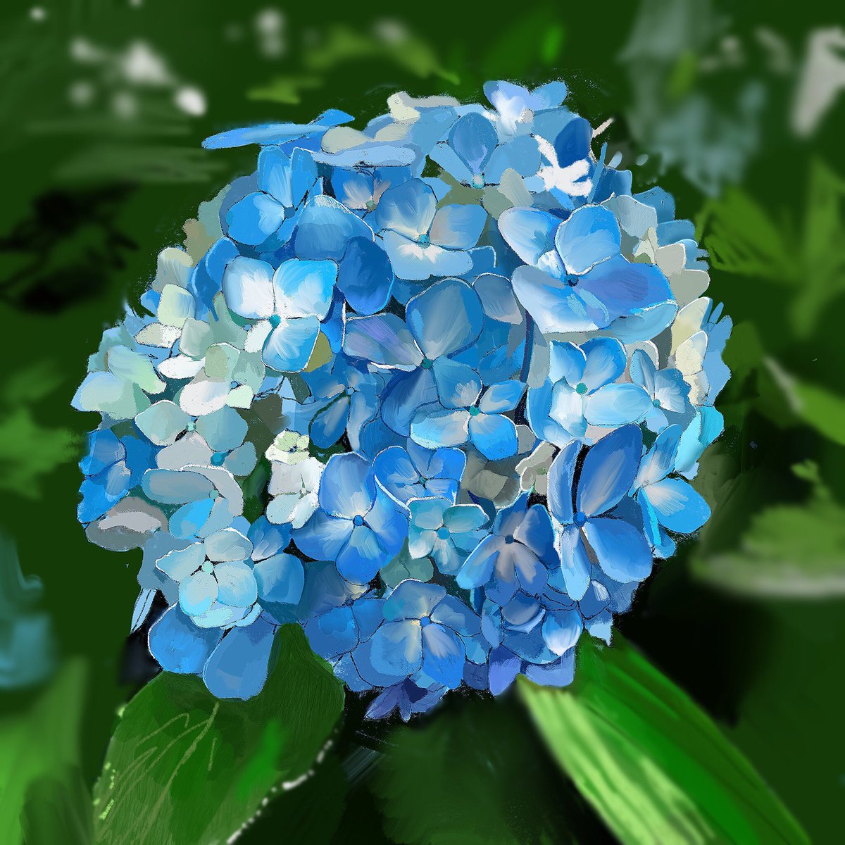 blue flower flower no humans hydrangea blurry leaf still life  illustration images
