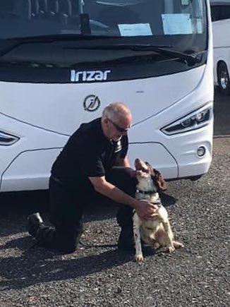 DogsHmpps's tweet photo. NDTSG dogs Boris & Bomber together with Nell from @HMP_Woodhill training to achieve #NCTAS Arms & Explosives licence - Thank you to @IrizarUK for the use of your vehicles for training. #OperationalDogs #WorkingDogs #K9 #PrisonDogs #HMPPS https://t.co/0jNEpaRUCW