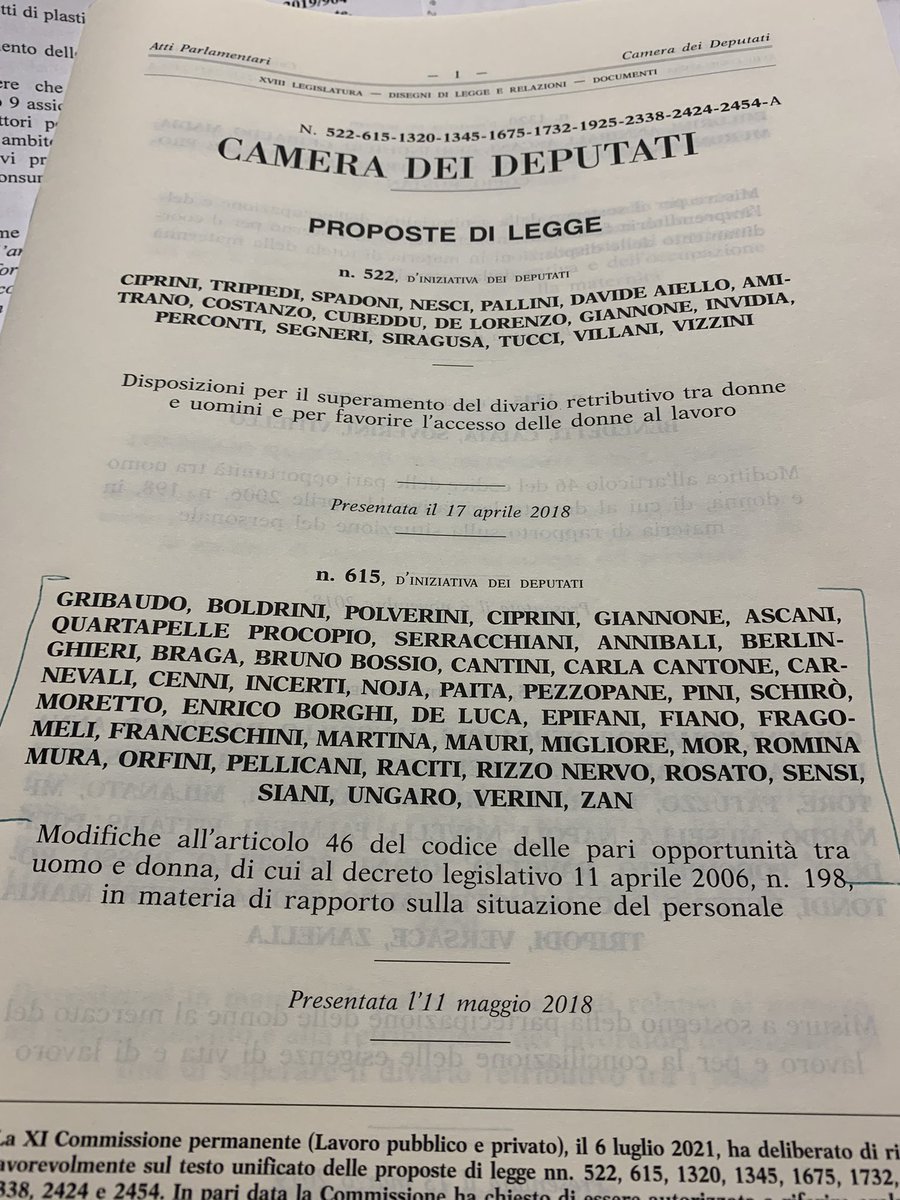 Oggi la #Camera ha approvato all’unanimità la proposta di legge per la #paritàsalariale. Una legge per le #donne di oggi e domani, che hanno diritto a #stessolavoro e #stessosalario. Orgogliosa del lavoro di @chiaragribaudo @RominaMura @DonnePd @pdnetwork Ora avanti al Senato!