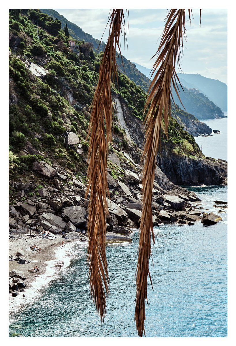 Cinque Terre Summer | 2014 🌴🕶

#photography #PhotoOfTheDay