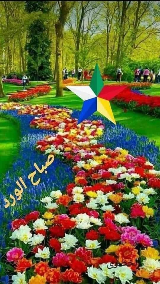 bahjat_karawan's tweet photo. @RoyalFamily صاحبة الجلالة ملكة الامبراطورية البريطانية السعيدة اليزابيث الثانية تحياتي الموسيقى غذاء الروح سأهديك يا صاحبة الجلالة اغنية ل الامير والموسيقار فريد الأطرش بنادي عليك من فيلم لحن الخلود كأعظم معزوفة عربية مركز كروان بهجت لدراسات السياسيةوالاقتطاديةحول العالم https://t.co/iQKINfBixV