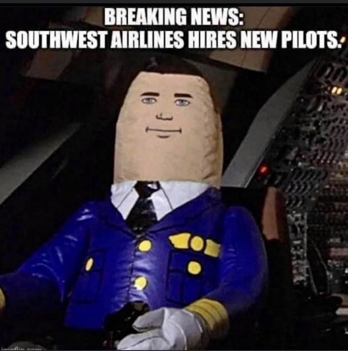 BHal310's tweet image. 