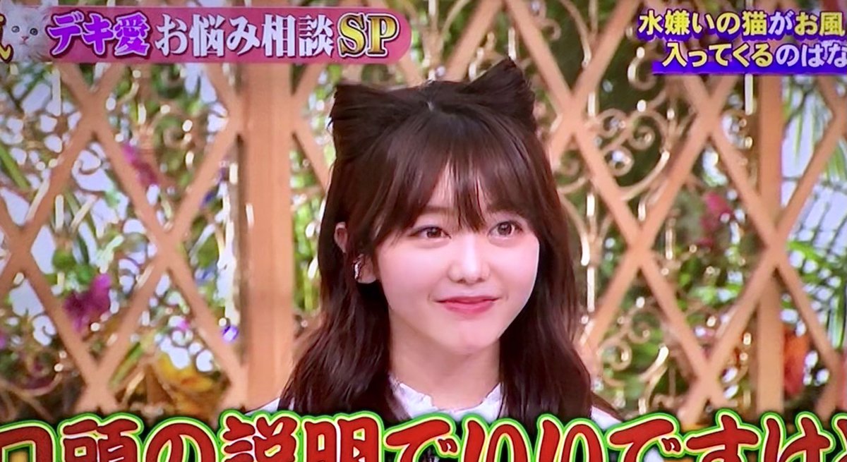 It S Moon V Twitter ホンマでっかtvが 猫デキ愛 Sp テレビの前から動けなくなってる 峯岸みなみさんの猫耳ヘアが可愛い