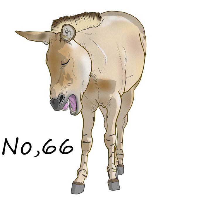 ロバのtwitterイラスト検索結果