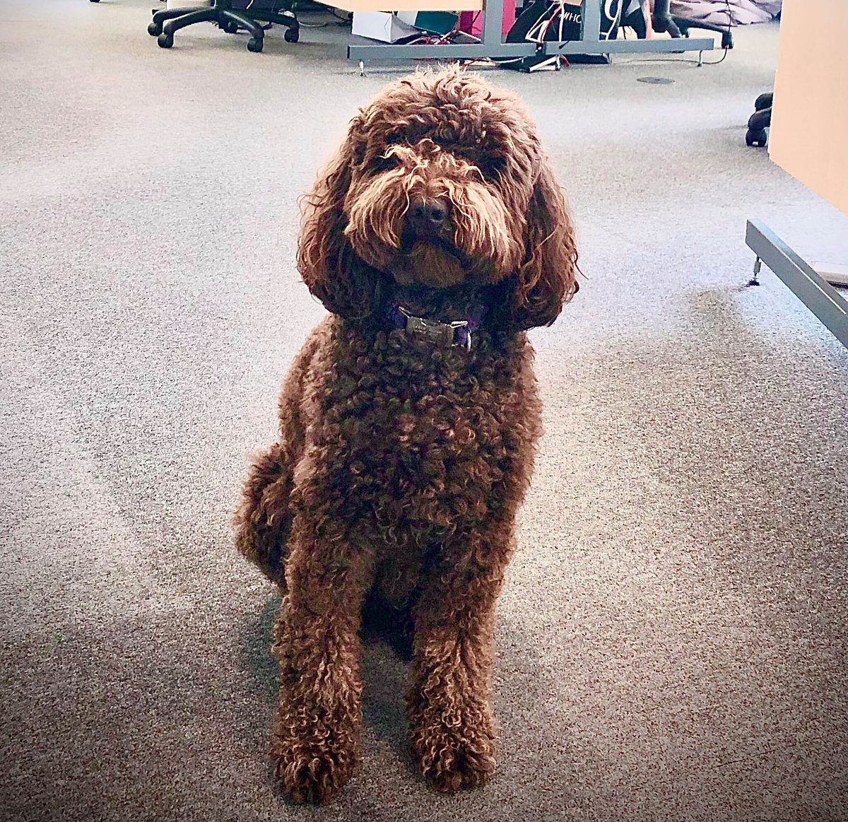 MarketOne tweet media