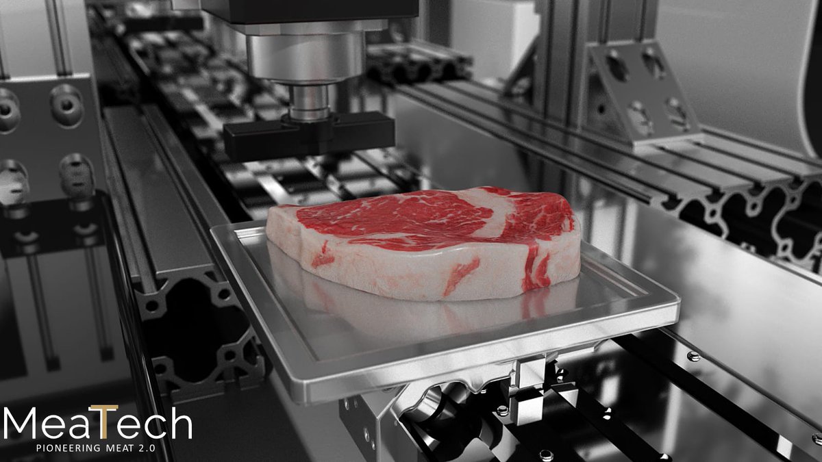 stkhfoods's tweet photo. #MeaTech3D is participating in today’s Alliance Bernstein - Digestible Disruption Conference 2021 at 10:30 a.m. EDT. 
Join us for #culturedmeat sector updates and MeaTech’s role in it. Investors interested in attending  should contact their Bernstein sales representative. $MITC https://t.co/FAqVkBuYsw