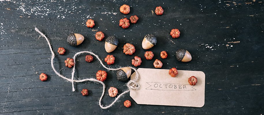 ScoutForce tweet media