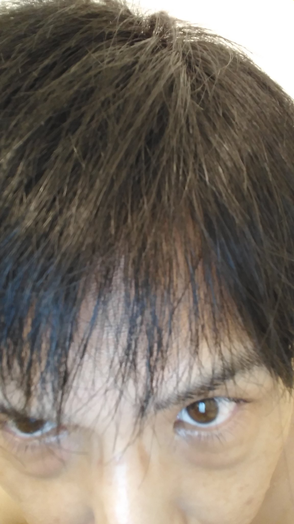 Hideki 元々の髪色は少し色素が薄いのでアッシュカラーなんだが 白髪が増えると茶髪気味になる 今回購入した白髪染めをした結果 凄く黒い T Co O4x9wp6bok Twitter