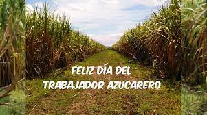 GobCamaguey's tweet photo. Felicidades en #Cuba a quienes desde el campo hasta la industria hacen posible que nuestros días sean más dulces !!! @AsambleaCuba @PresidenciaCuba @JLBrocheLorenzo @DiazCanelB @cadenagramonte @tvcamaguey https://t.co/S8YTemwPs1