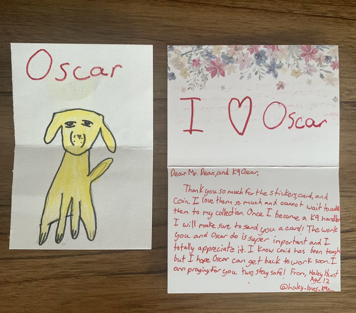 Oscar received a special card in the mail from a young lady that wants to be a K9 officer when she gets older. #dogs #dogsoftwitter #K9officer #ThinBlueLine #redline #firstresponders #therapydog #friends #blessed