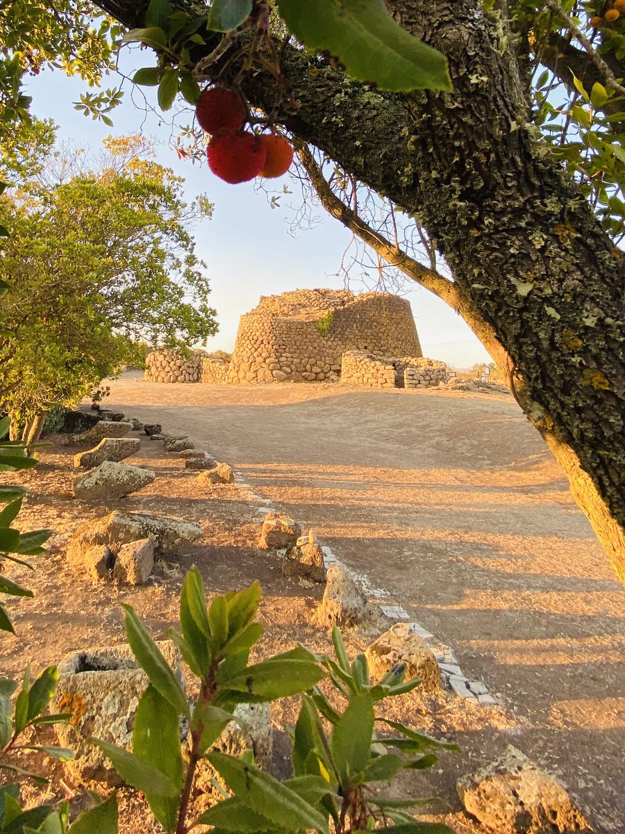 Maturano i corbezzoli e la luce, la sera, si colora d’arancio. 
🍃🍂🍁
Visitare il Nuraghe in questi giorni è un’esperienza che accarezza l’anima.
Venite a trovarci!
☎️3319128790
Le visite guidate vanno prenotate almeno un giorno prima.
#nuraghelosa #autumnvibes