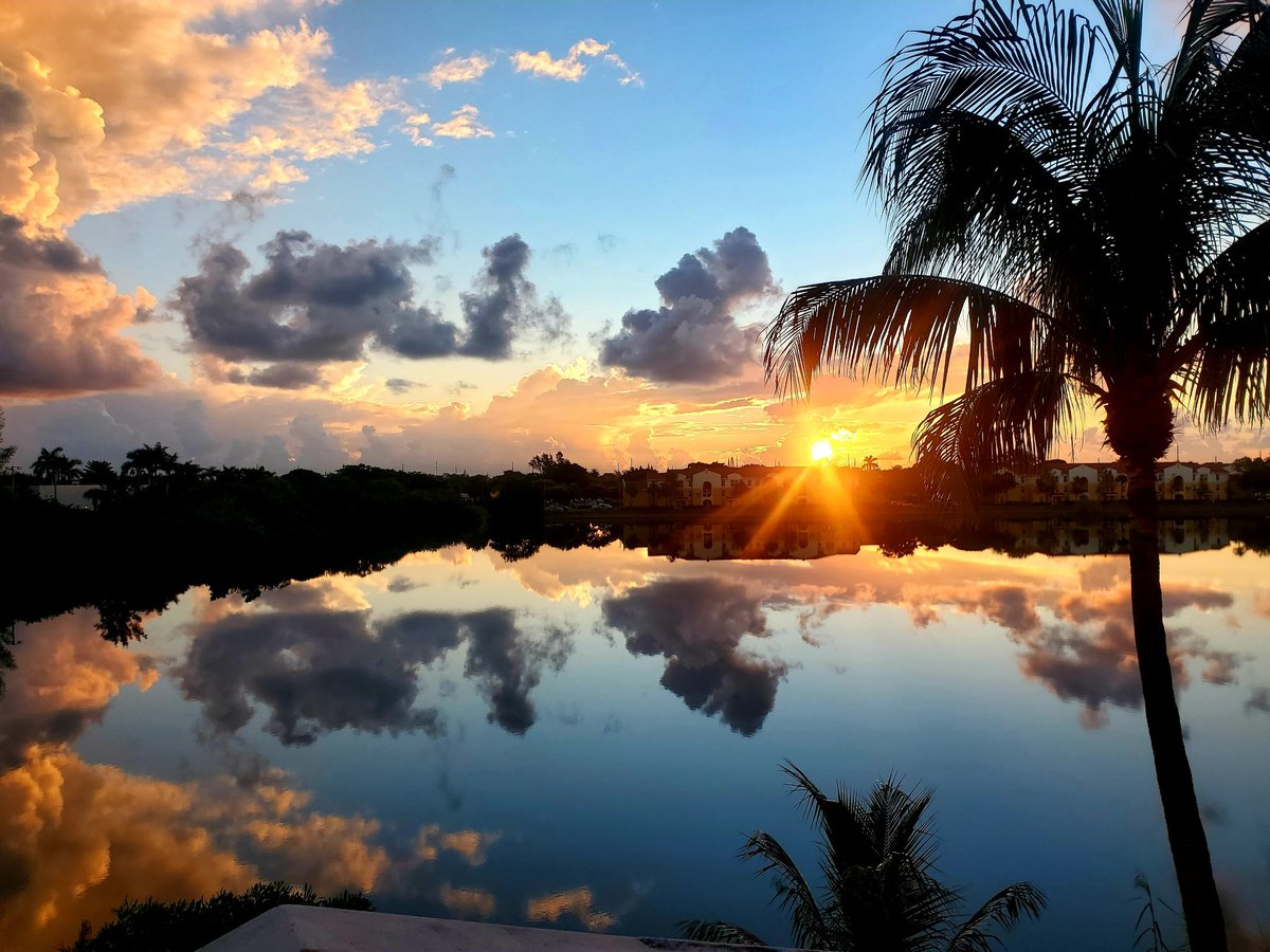 Andrea Baldwin Porter tweet media