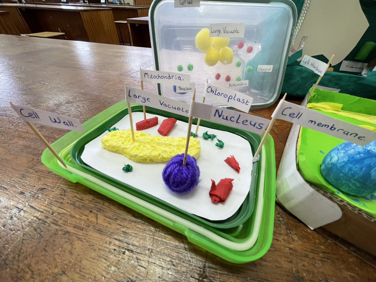 niamhy24's tweet image. How amazing are these 3D Cell Models by our First Years @abbeytipp? Looking forward to displaying them proudly at Open Night next week 😁 #JCScience
