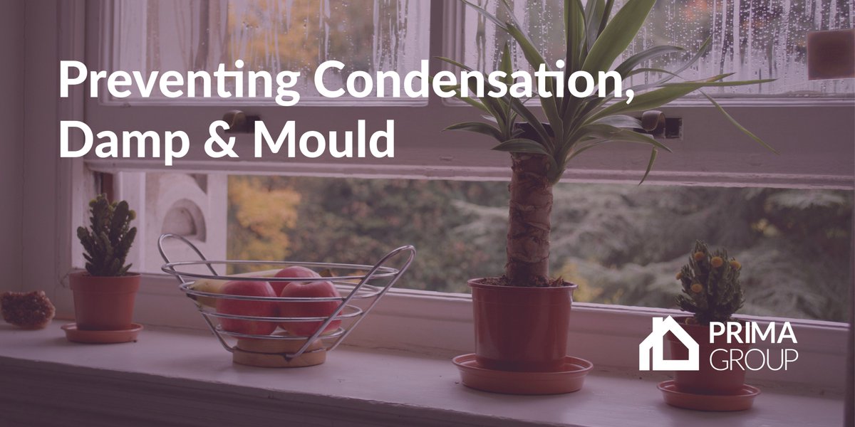 Damp is one of the last things we want to see in our homes. 💧

Luckily, damp can often be treated easily and without much fuss.

Click the link below to find out a few tips on how to reduce condensation in your home.

bit.ly/3BCS1iR