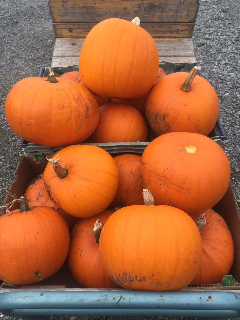 RootedinHull's tweet photo. Well, it’d be rude not to.... Pumpkins!
Locally grown without the use of chemicals, available down by the riverside @RootedinHull 
Open Wed-Sat 10-3 (ish!) 
✌️❤️🌎 https://t.co/3Lkz5akFmP
