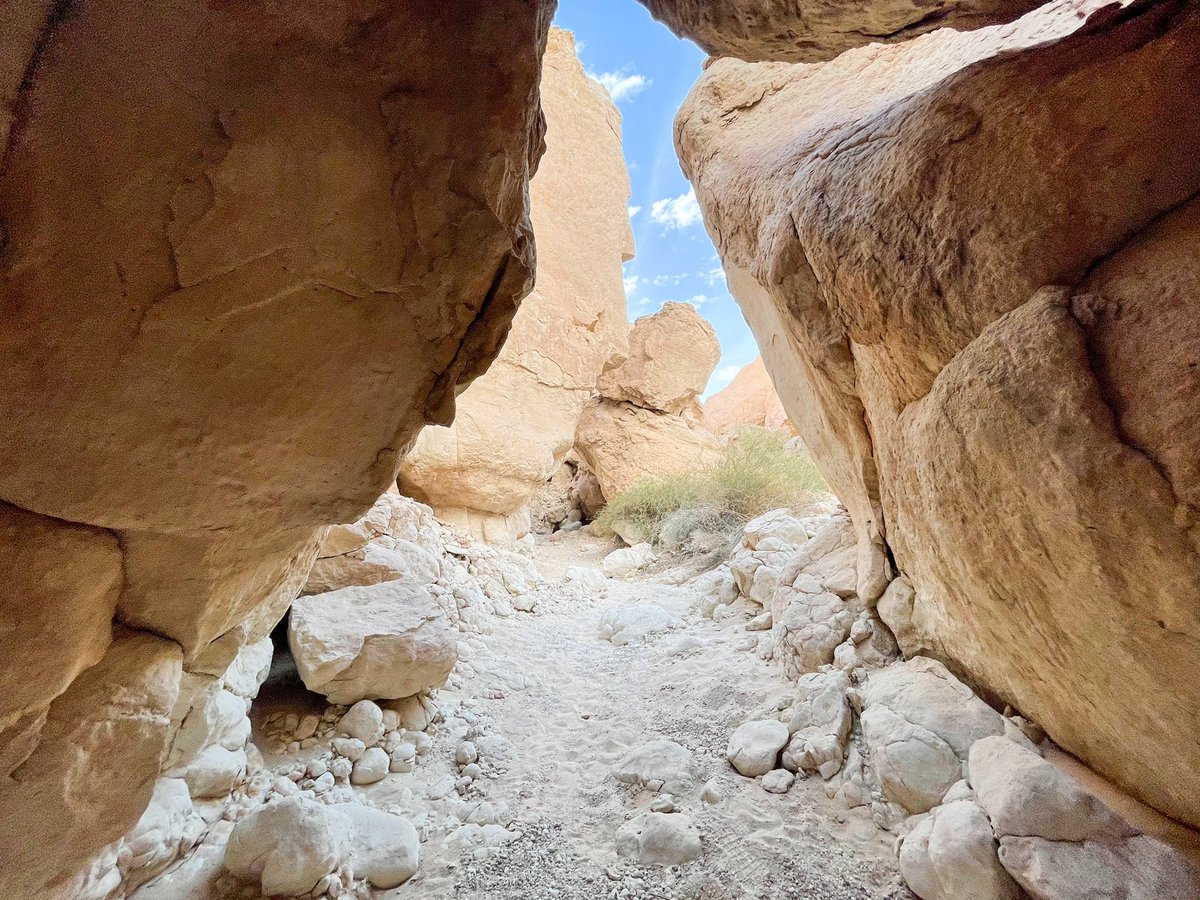 SiruClub's tweet photo. قل نعم للمغامرة!
Say YES to adventure! https://t.co/1PYgU0j6DJ