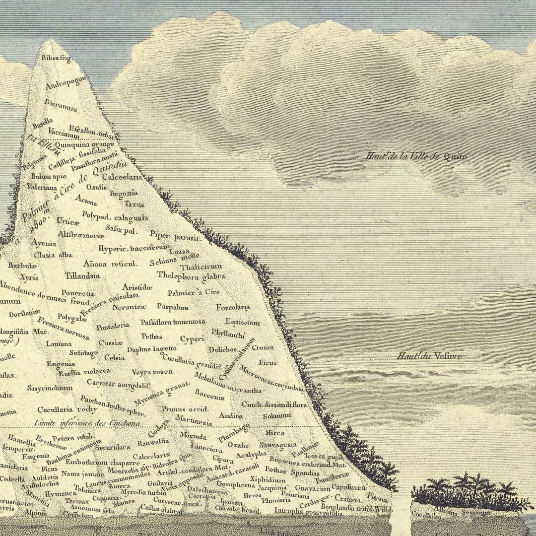 AndStys's tweet image. Because I have read The Volcano Lover by Susan Sontag, this kind of images make me excited. 'Geography of Equinoctial Plants' by Alexandre de Humboldt and Aimé Bonpland. Sketched and written by Humboldt, drawn by Schönberger and Turpin. Paris: 1805