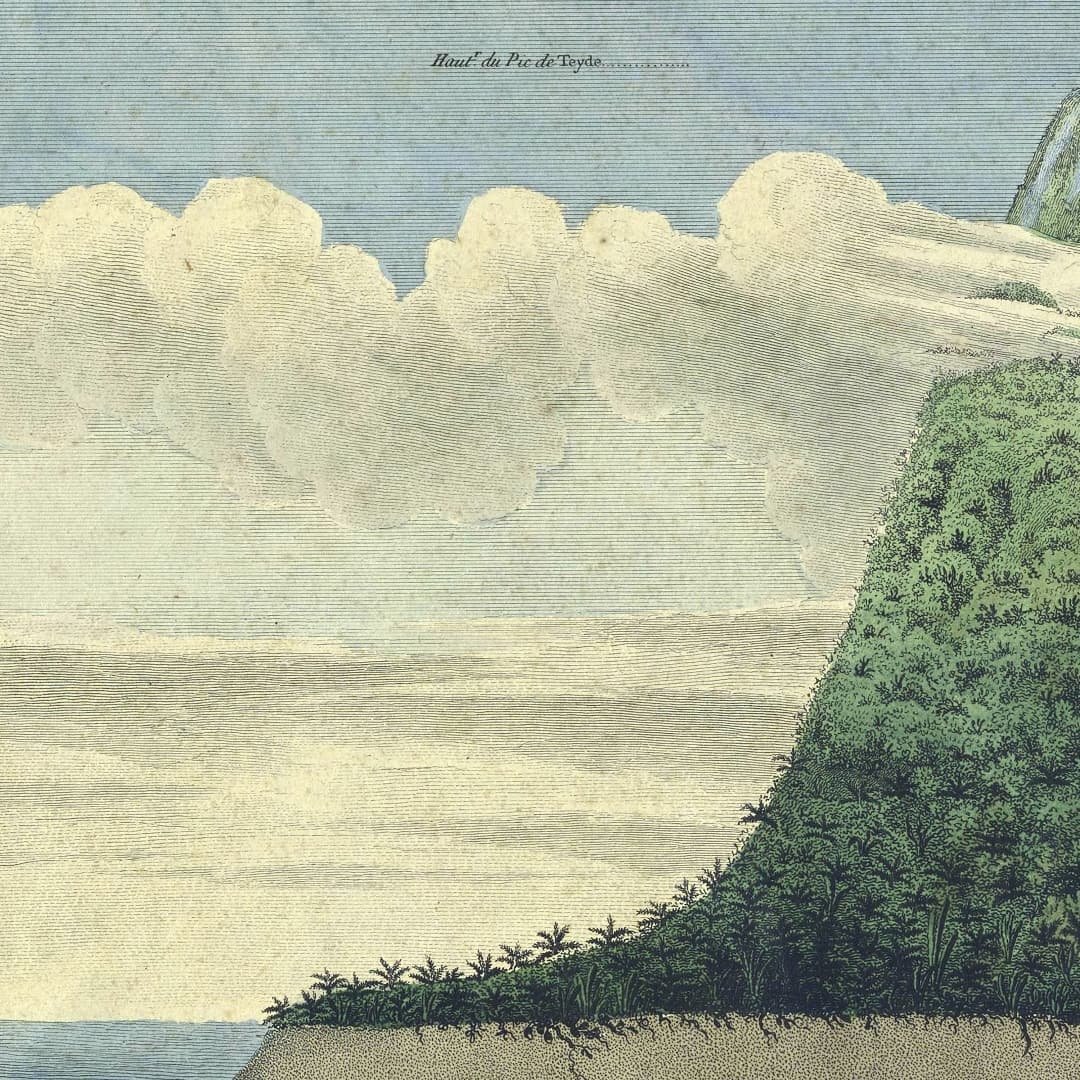AndStys's tweet image. Because I have read The Volcano Lover by Susan Sontag, this kind of images make me excited. 'Geography of Equinoctial Plants' by Alexandre de Humboldt and Aimé Bonpland. Sketched and written by Humboldt, drawn by Schönberger and Turpin. Paris: 1805