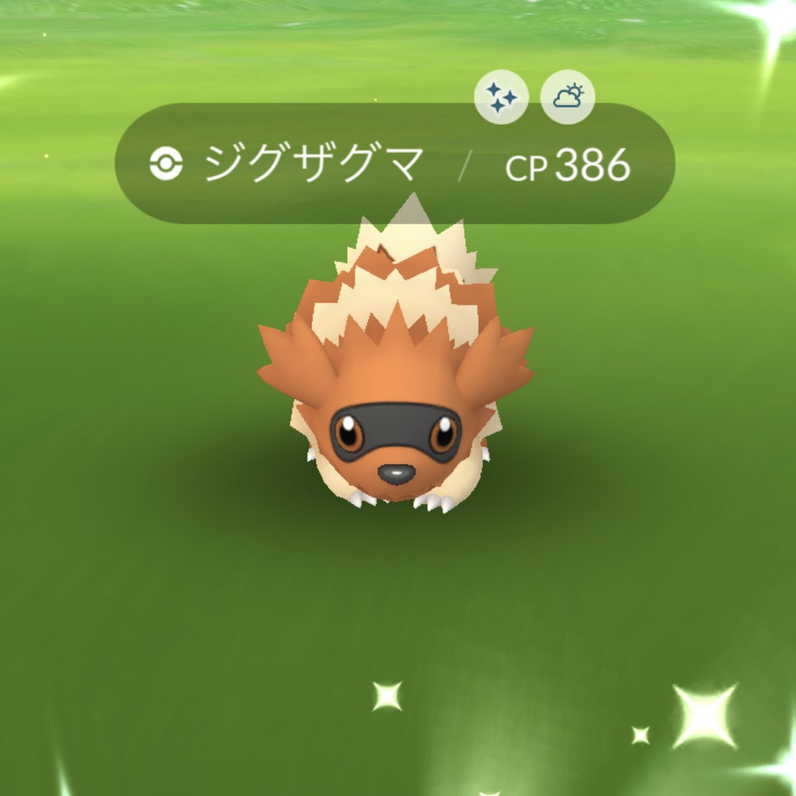 ポケモンgo ジグザグマの色違い 入手方法と実装状況 攻略大百科