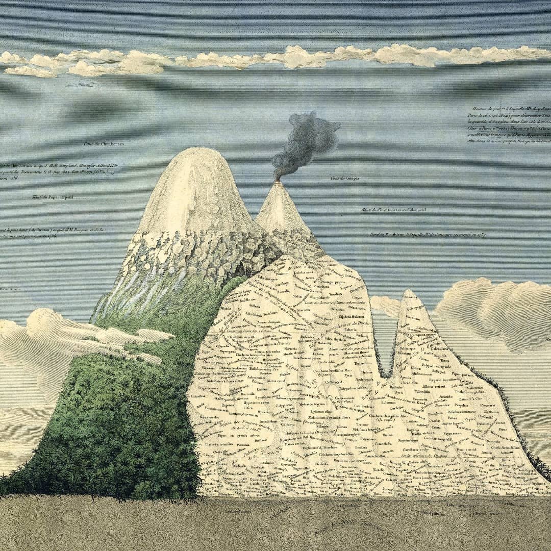 AndStys's tweet image. Because I have read The Volcano Lover by Susan Sontag, this kind of images make me excited. 'Geography of Equinoctial Plants' by Alexandre de Humboldt and Aimé Bonpland. Sketched and written by Humboldt, drawn by Schönberger and Turpin. Paris: 1805