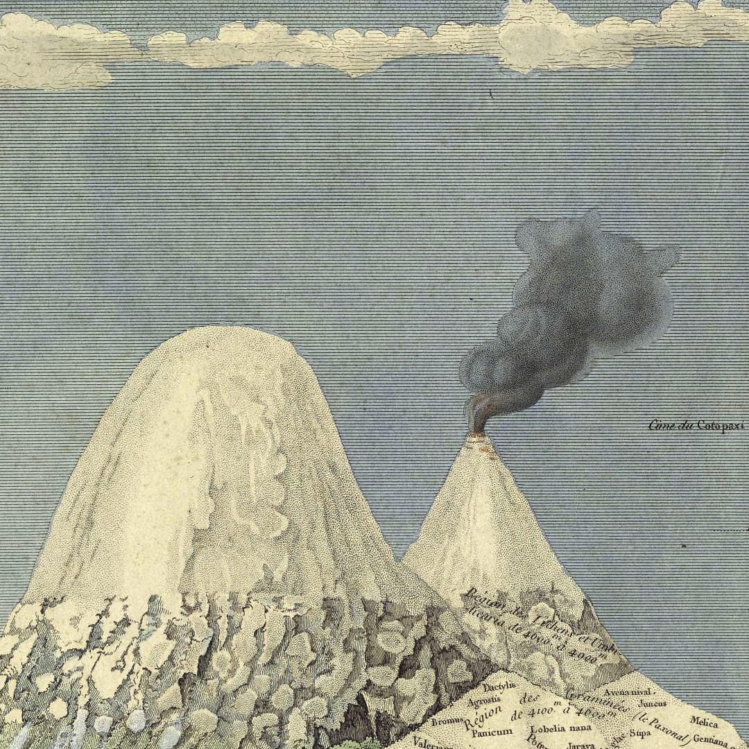 AndStys's tweet image. Because I have read The Volcano Lover by Susan Sontag, this kind of images make me excited. 'Geography of Equinoctial Plants' by Alexandre de Humboldt and Aimé Bonpland. Sketched and written by Humboldt, drawn by Schönberger and Turpin. Paris: 1805